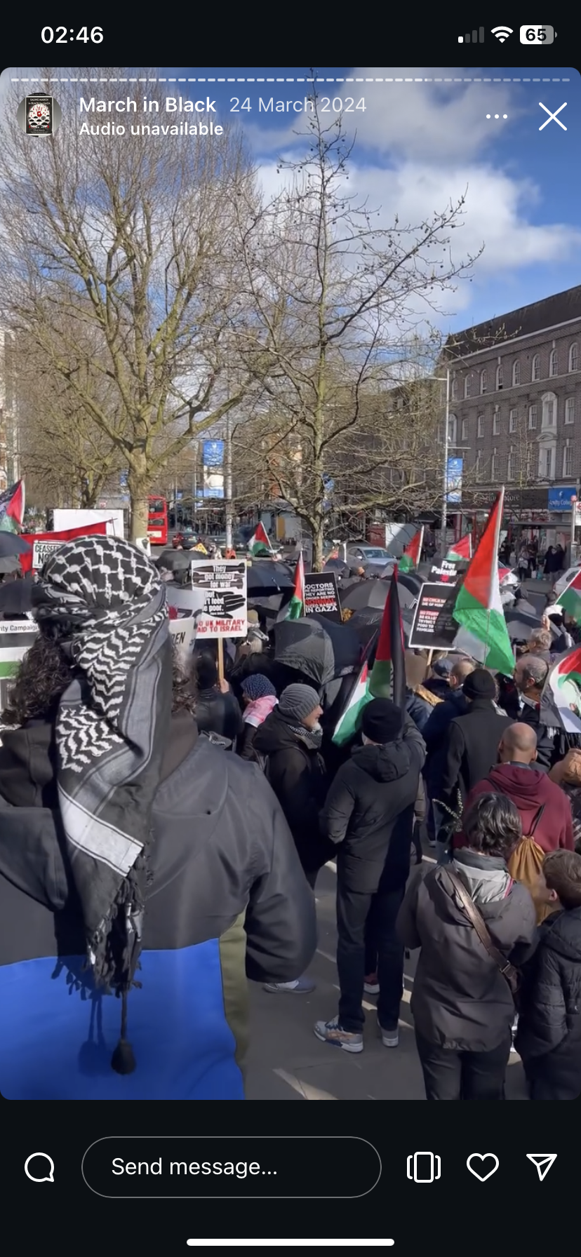 Photograph from a Palestine protest in Ealing